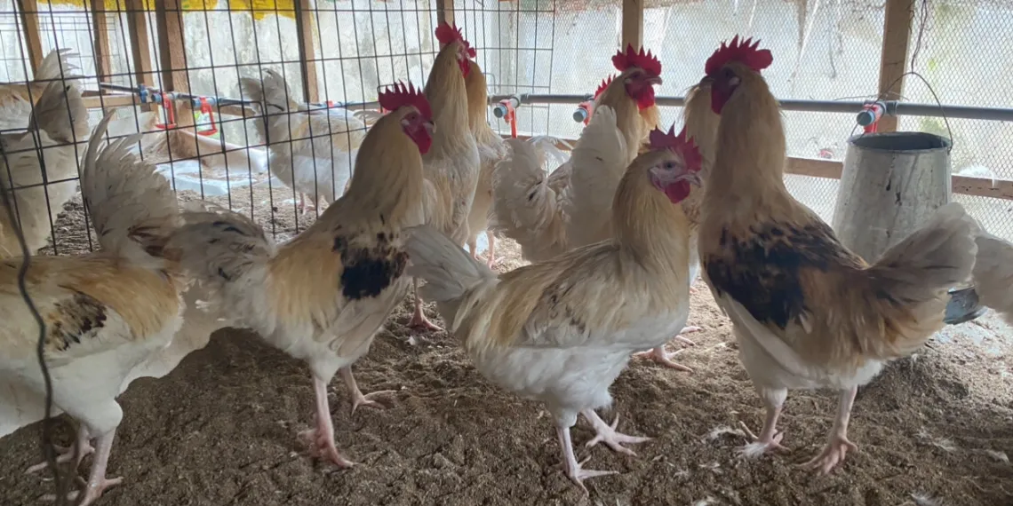 Virologists Sound Alarm on Potential New Pandemic.