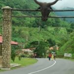 FG to Upgrade Obudu Ranch into Livestock, Dairy Hub