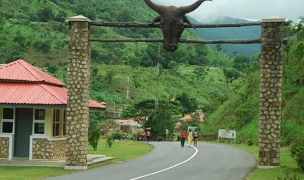 FG to Upgrade Obudu Ranch into Livestock, Dairy Hub