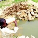 Plateau Cholera Outbreak Claims 3 Lives, 5 Confirmed Cases