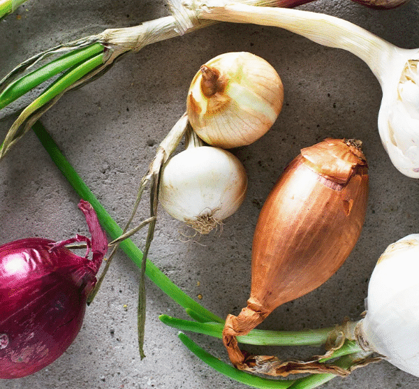 Foods That May Help Prevent Breast Cancer