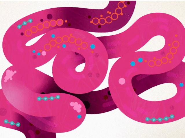 Gut Health: Diet Outperforms Fecal Transplants