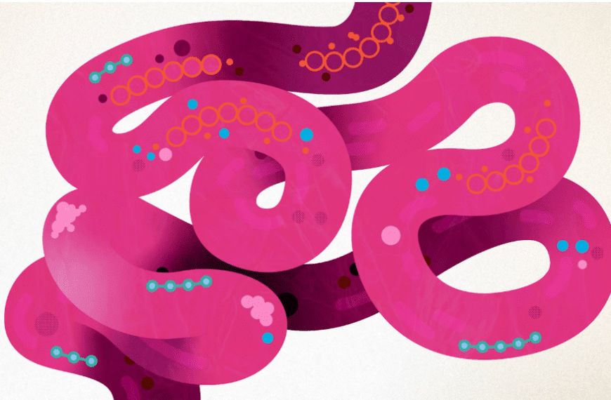 Gut Health: Diet Outperforms Fecal Transplants