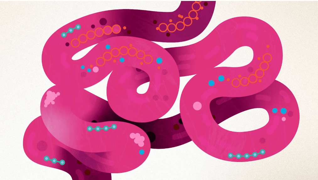 Gut Health: Diet Outperforms Fecal Transplants